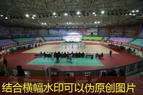 網(wǎng)球拍極速發(fā)球什么意思 網(wǎng)球拍極速發(fā)球什么意思