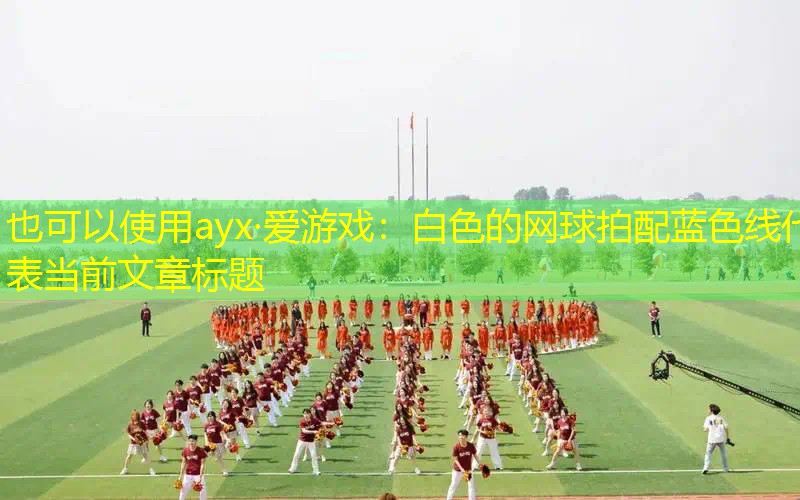白色的網(wǎng)球拍配藍(lán)色線 白色的網(wǎng)球拍配藍(lán)色線