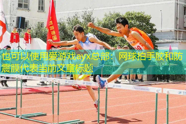 網(wǎng)球拍手膠和防震膜 網(wǎng)球拍手膠和防震膜