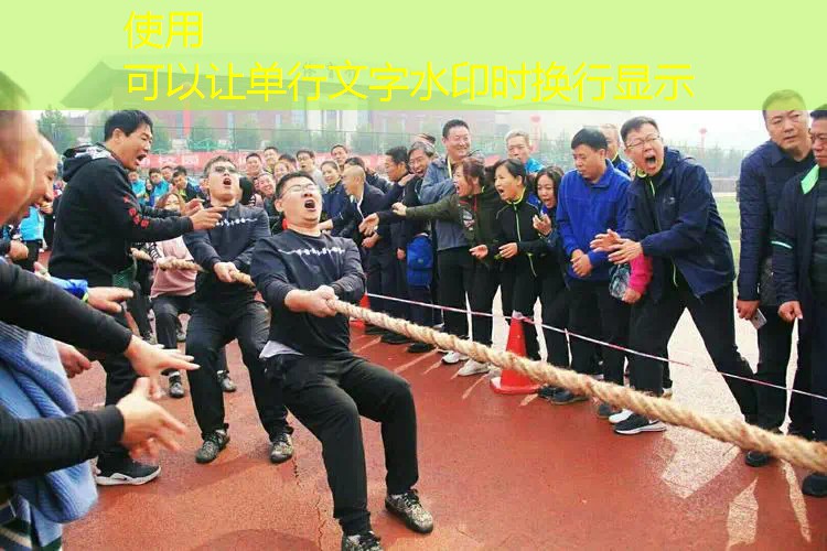 網(wǎng)球拍避震結(jié)的作用 網(wǎng)球拍避震結(jié)的作用